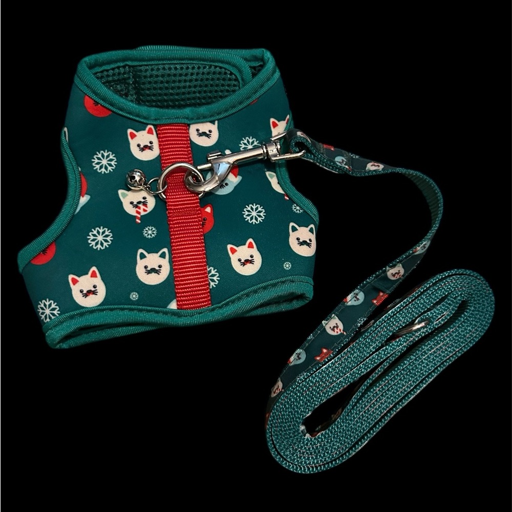 GreenDog Harness and Leash Set with Red Accents